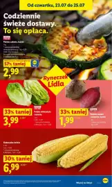 Lidl gazetka Strona 53