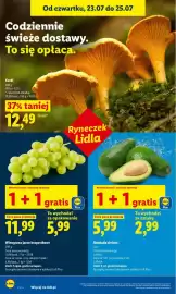 Lidl gazetka Strona 54
