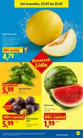 Lidl gazetka Strona 55
