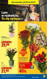 Lidl gazetka Strona 97
