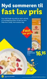 Lidl tilbudsavis uge 31 Side 17