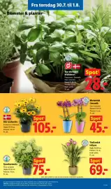 Lidl tilbudsavis uge 31 Side 36
