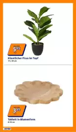 Action Prospekt woche 30 Seite 33