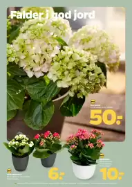 Netto tilbudsavis uge 30 Side 25