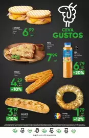 Catalog PROFI Pagină 17