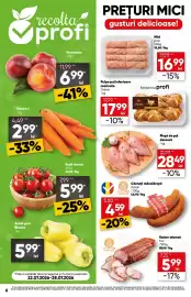 Catalog PROFI Pagină 6