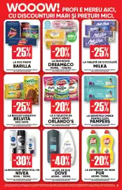 Catalog PROFI Pagină 3