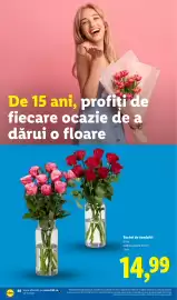 Catalog Lidl săptămâna 31 Pagină 48