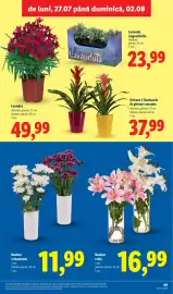 Catalog Lidl săptămâna 31 Pagină 49