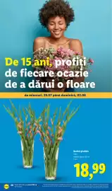 Catalog Lidl săptămâna 31 Pagină 50