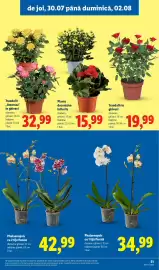 Catalog Lidl săptămâna 31 Pagină 51
