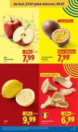 Catalog Lidl săptămâna 31 Pagină 7