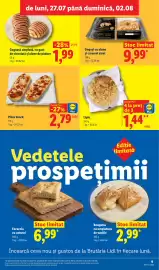 Catalog Lidl săptămâna 31 Pagină 9