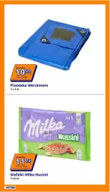 Action gazetka tydzień 30 Strona 11