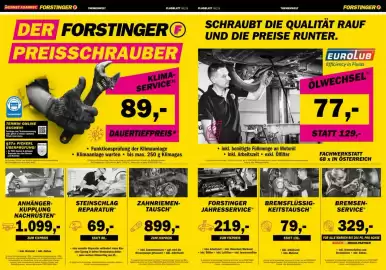 Forstinger Flugblatt Seite 3