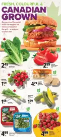 Metro flyer week 30 Page 7