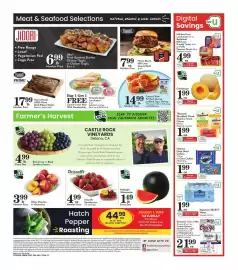 Pavilions weekly ad week 30 Page 4