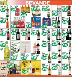 Volantino Il Castoro Supermercati Pagina 17