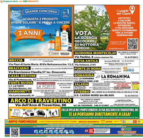 Volantino Iper Triscount Pagina 20