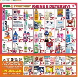 Volantino Iper Triscount Pagina 19