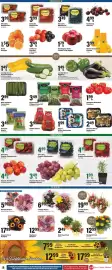 Big Y flyer week 30 Page 10