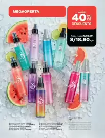 Catálogo Avon Página 100