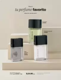 Catálogo Avon Página 102