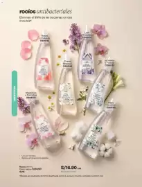 Catálogo Avon Página 179