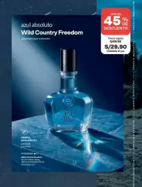 Catálogo Avon Página 64