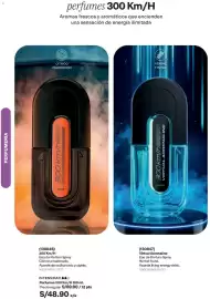 Catálogo Avon Página 67