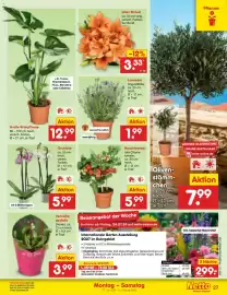 Netto Marken-Discount Prospekt woche 31 Seite 42