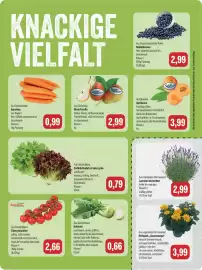 Feneberg Prospekt Seite 7