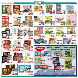 Volantino Idromarket Pagina 13