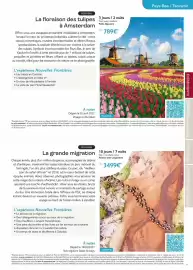 Catalogue TUI page 19