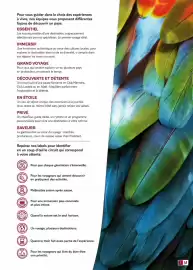 Catalogue TUI page 9