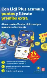 Catálogo Lidl semana 31 Página 11