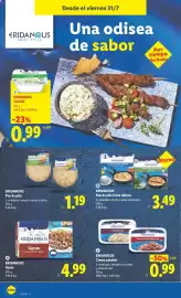 Catálogo Lidl semana 31 Página 36