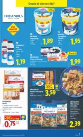 Catálogo Lidl semana 31 Página 41
