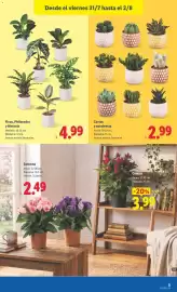 Catálogo Lidl semana 31 Página 43