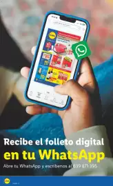 Catálogo Lidl semana 31 Página 44