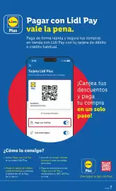 Catálogo Lidl semana 31 Página 45