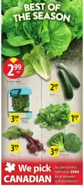 Save on Foods flyer week 30 Page 5