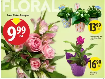 Save on Foods flyer week 30 Page 7