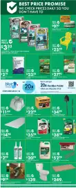 Kent flyer week 30 Page 2
