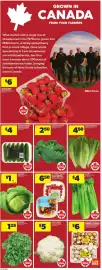 Atlantic Superstore flyer week 30 Page 10