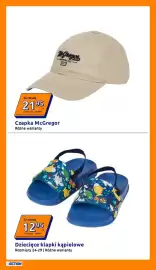 Action gazetka tydzień 30 Strona 16