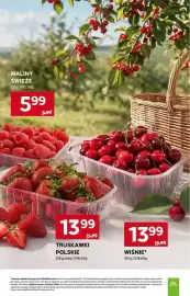 Stokrotka gazetka tydzień 30 Strona 17