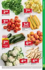 Stokrotka Market gazetka tydzień 30 Strona 15