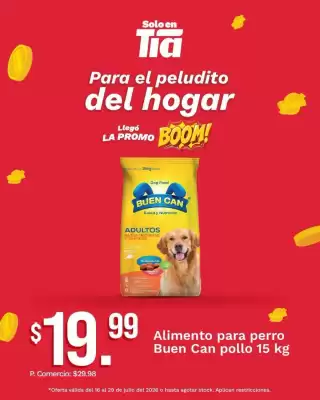 Tia (válido hasta 29-07)