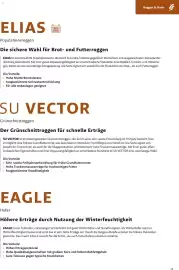 Lagerhaus Flugblatt Seite 13